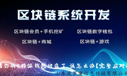 如果你的B特派钱包被盗了，该怎么办？完整应对指南