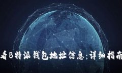 如何查看B特派钱包地址信