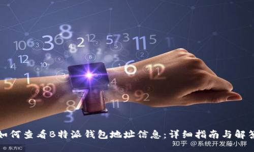 如何查看B特派钱包地址信息：详细指南与解答