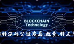 深入解析B特派的公链布局