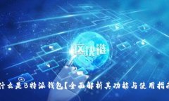 什么是B特派钱包？全面解