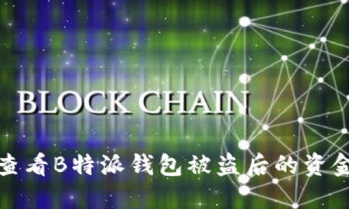 如何查看B特派钱包被盗后的资金流向