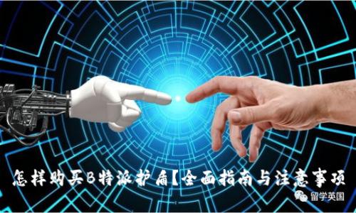 怎样购买B特派护盾？全面指南与注意事项