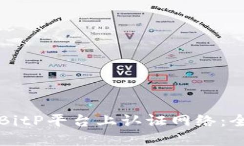 如何在BitP平台上认证网络：全面指南
