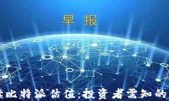 深入解读比特派估值：投资者需知的关键因素