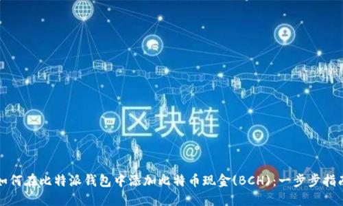 如何在比特派钱包中添加比特币现金(BCH)：一步步指南