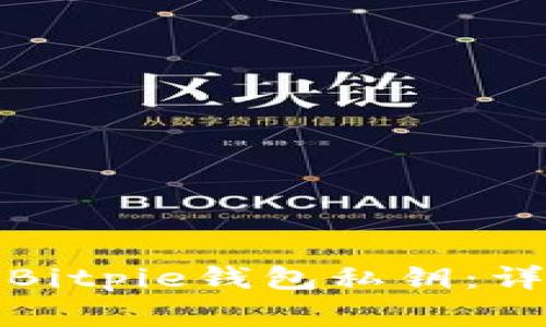 如何在手机上导入Bitpie钱包私钥：详细步骤与注意事项